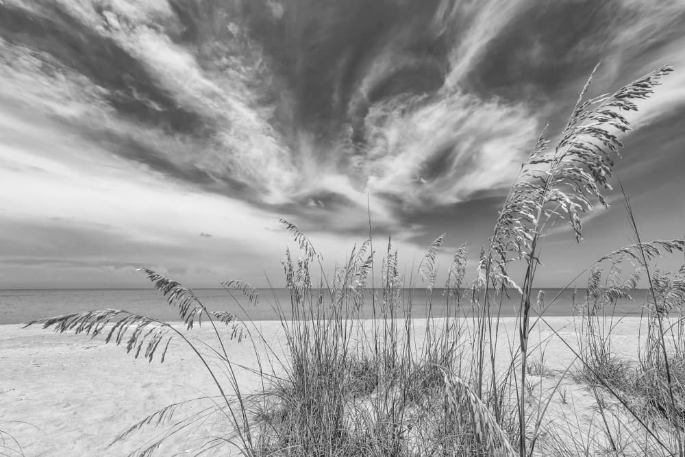 Sea Oats Beach Sky by Melanie Viola — canvas wall art