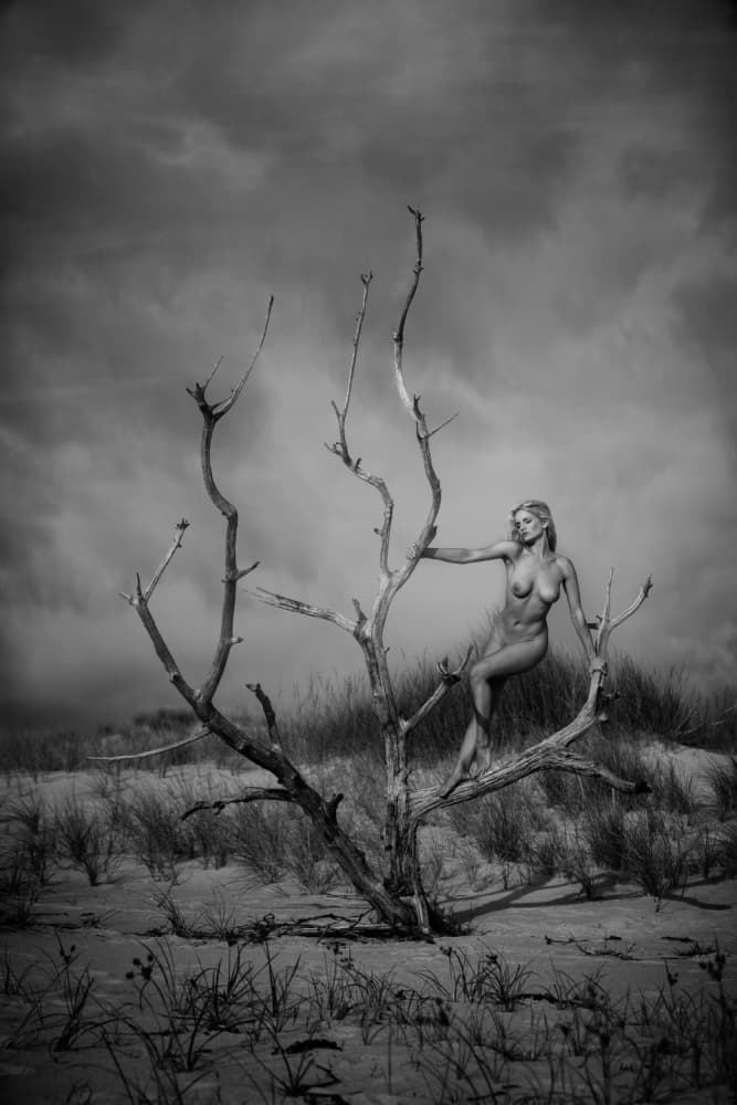 Nude Woman Desert Tree by JAE — canvas wall art