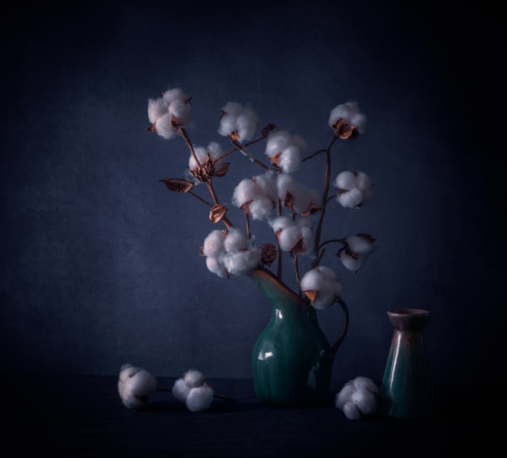 White Cotton Still Life by May G — canvas wall art