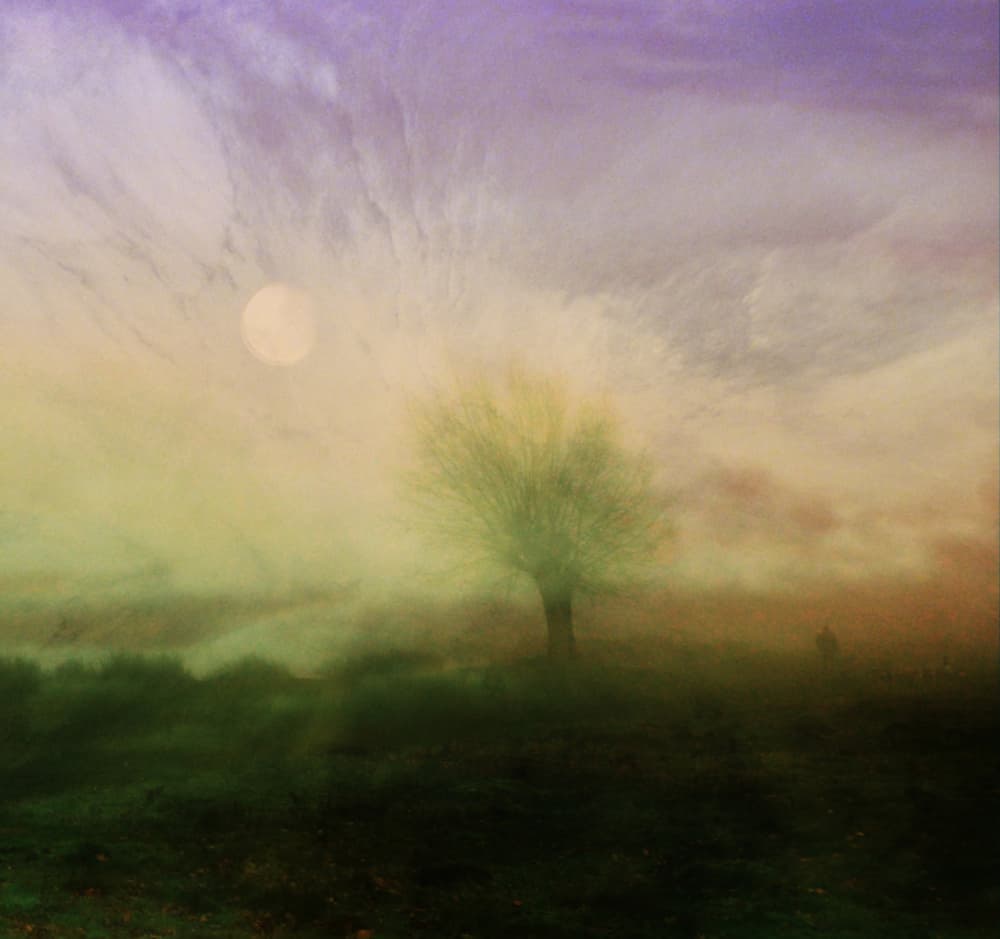 Dreamy Tree Sunset by Robert Fabrowski — canvas wall art