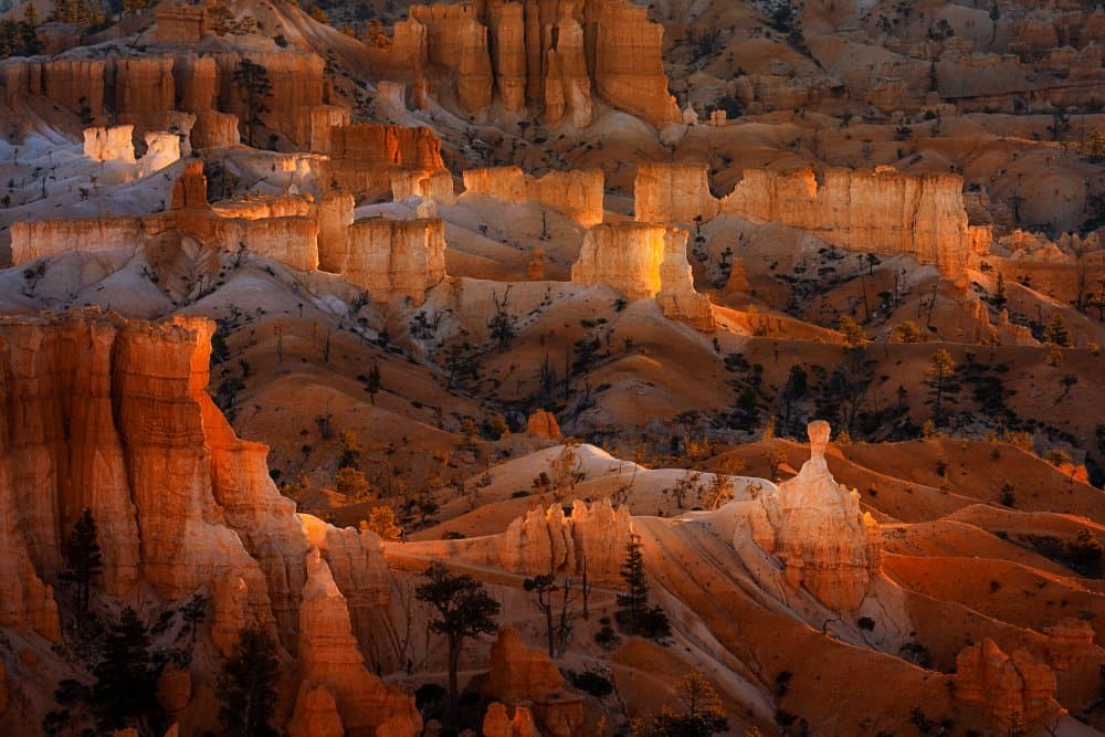 Golden Canyon Formations by Lydia Jacobs — canvas wall art