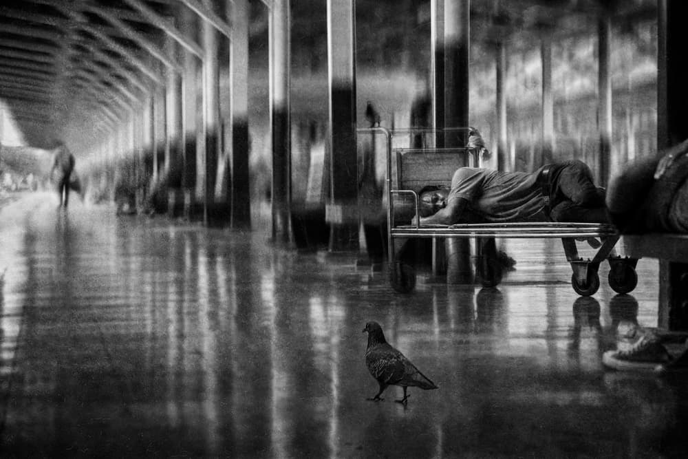 Sleeping Man and Pigeon by Ekkachai Khemkum — canvas wall art