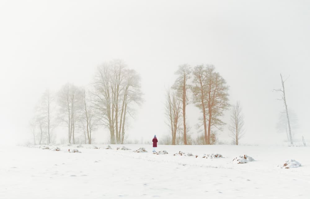 Red Coat in Winter Fog by Wei (David) Dai — canvas wall art