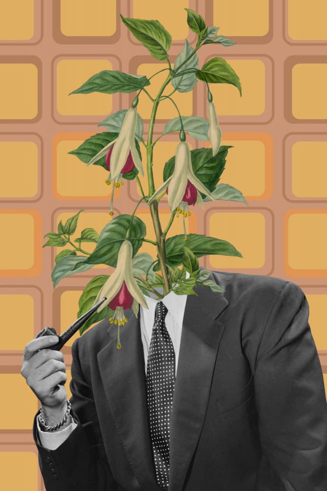 Botanical Gentleman by Marja van den Hurk — canvas wall art