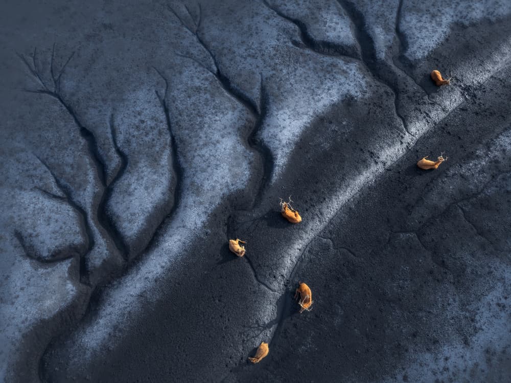 Reindeer River Delta by NingYun Ye — canvas wall art