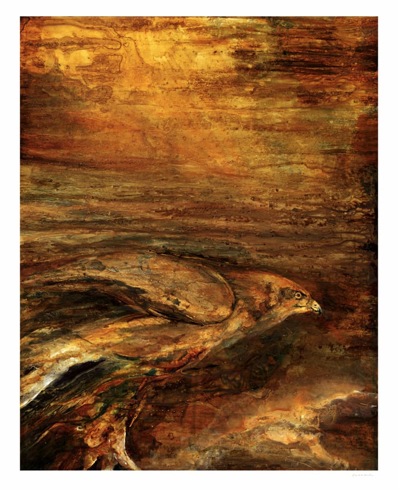 Golden Hawk Flight by RodMacIver — canvas wall art