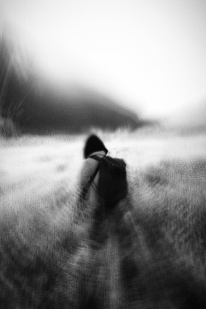Misty Field Walker by Wanjae Choi — canvas wall art