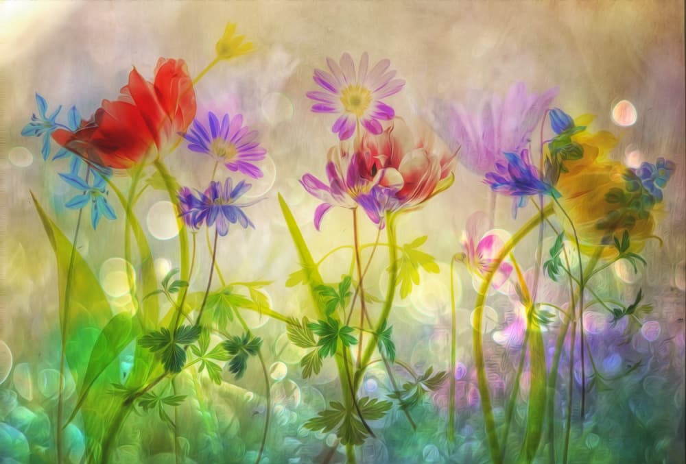 Dreamy Pastel Garden by Hilda van der Lee — canvas wall art
