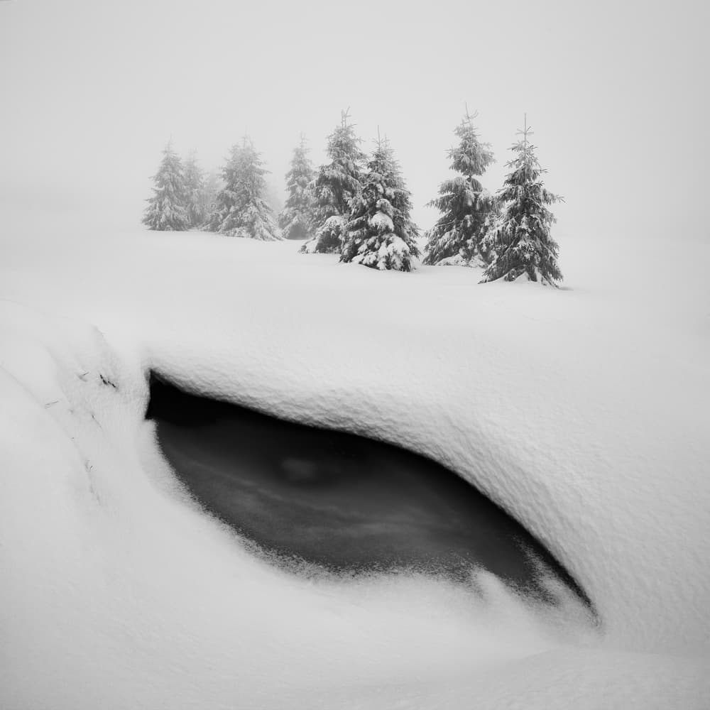 Snowy Forest Stream by Daniel Řeřicha — canvas wall art