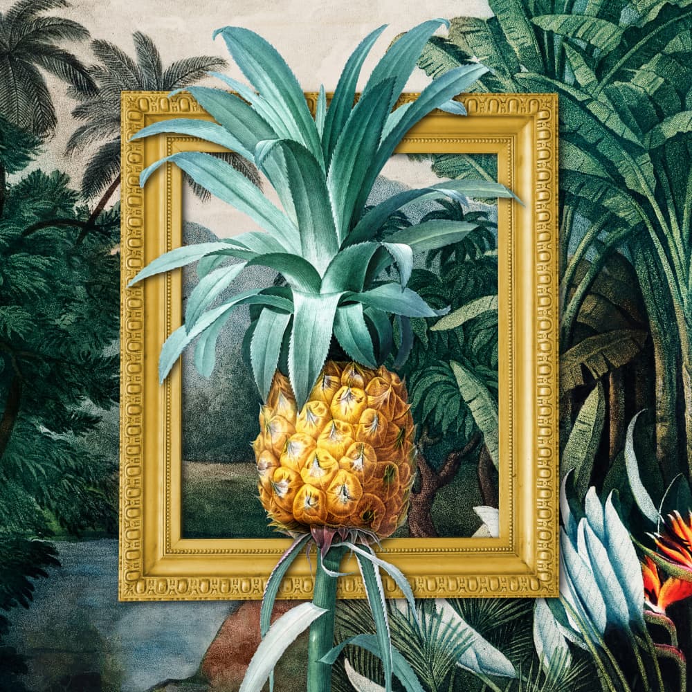 Framed Jungle Pineapple by Marja van den Hurk — canvas wall art
