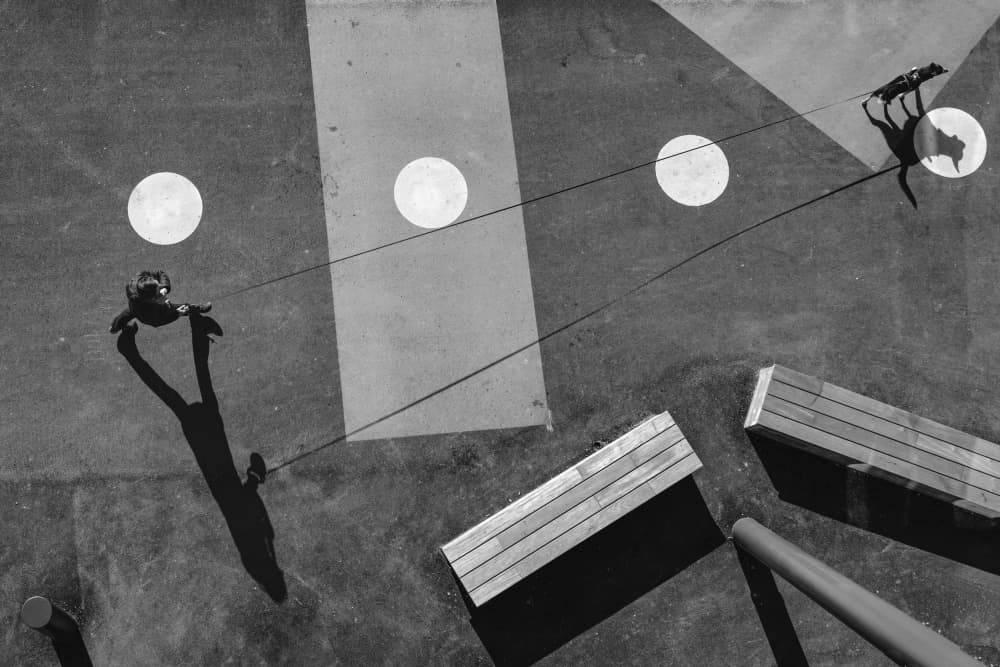 Geometric Dog Walk by Jure Kravanja — canvas wall art