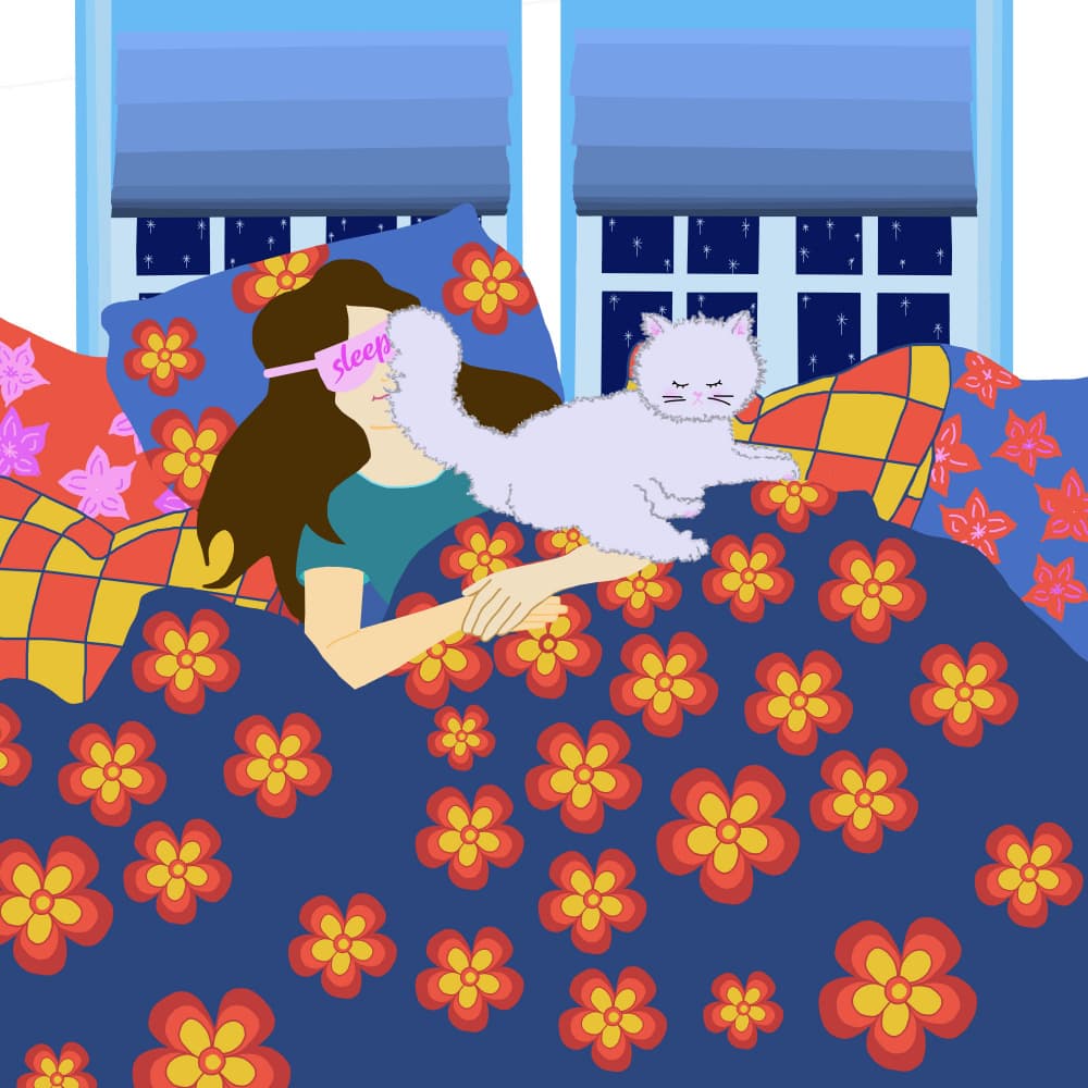 Cozy Sleep With Cat by Lynnda Rakos — canvas wall art