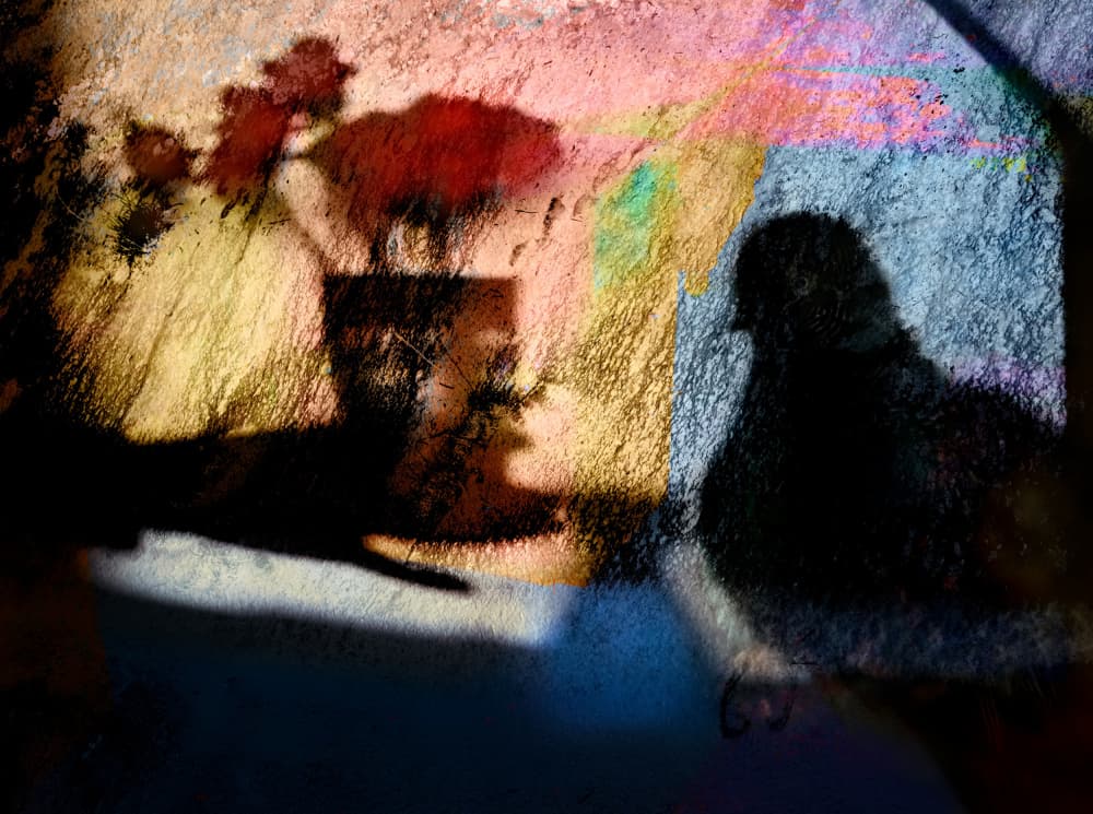 Colorful Bird Shadows by Shenshen Dou — canvas wall art