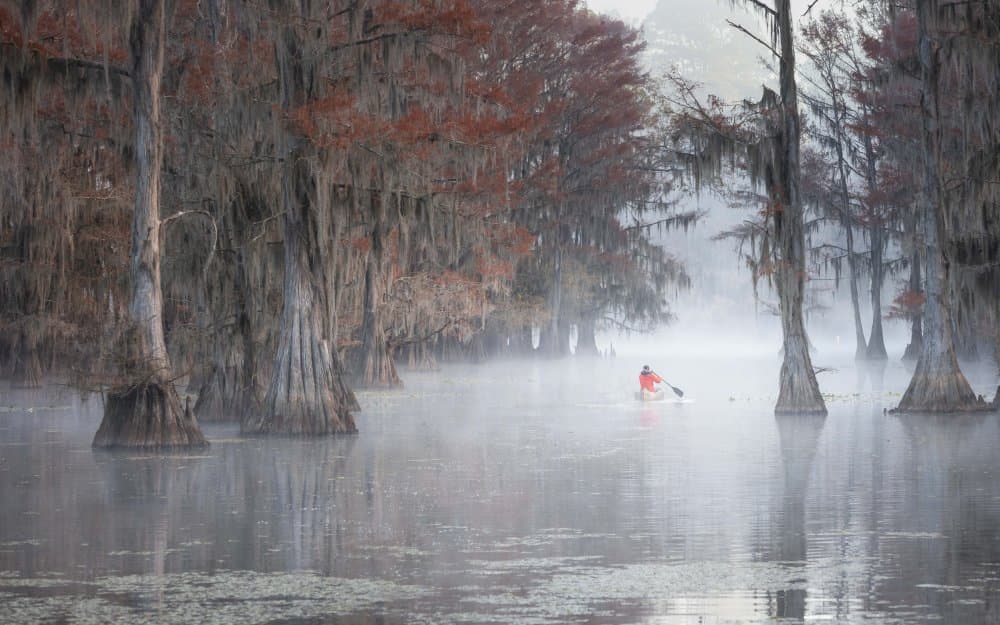 Misty Cypress Swamp Paddle by Yimei Sun — canvas wall art