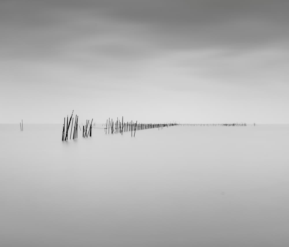 Monochrome Sea Poles by Robert Bolton — canvas wall art