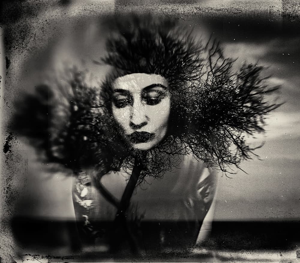 Ethereal Tree Woman by Bogdan Bouşcă — canvas wall art