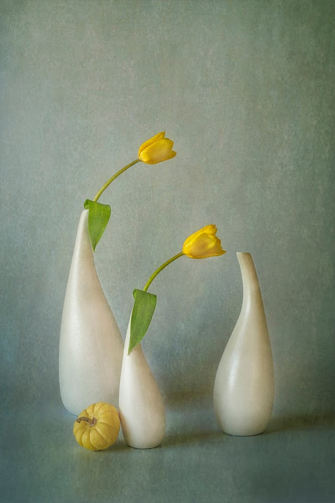 Elegant Yellow Tulips Still Life by Lydia Jacobs — canvas wall art