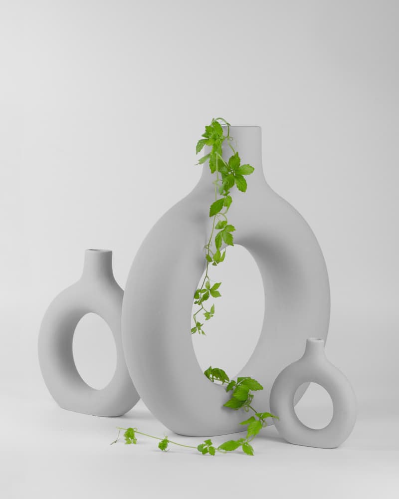 Grey Vases with Green Vine by FranzStaab — canvas wall art