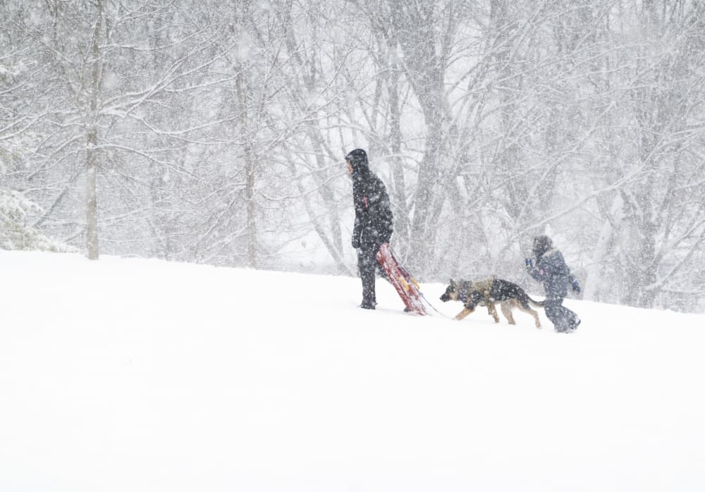 Winter Sledding Fun by Emma Zhao — canvas wall art