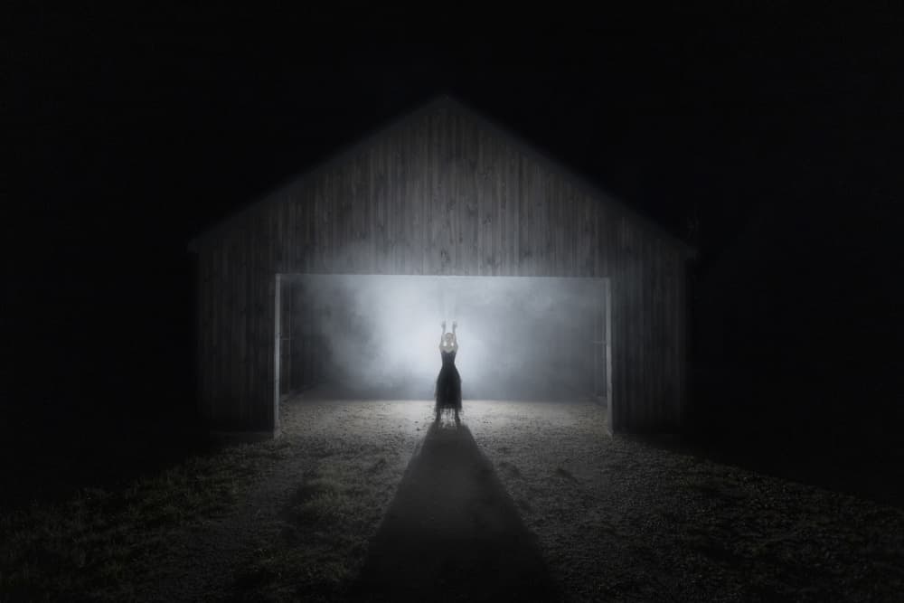Dark Barn Creature by Leszek Paradowski — canvas wall art