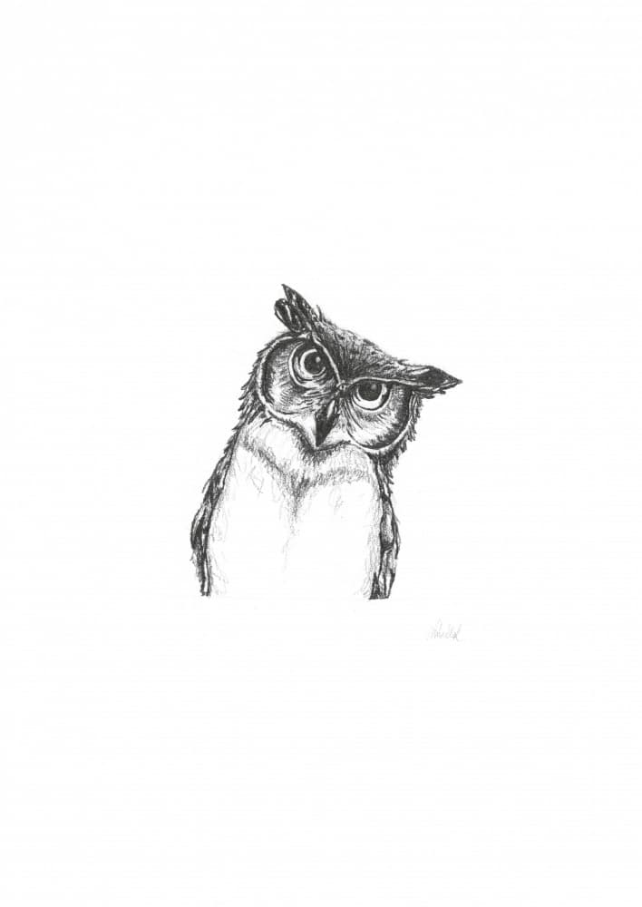Curious Owl Gaze by Lor Muller — canvas wall art