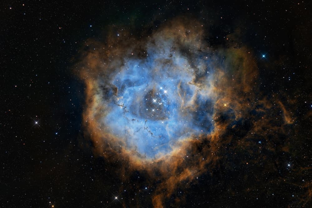 Cosmic Rosette Nebula by Vikas Chander — canvas wall art