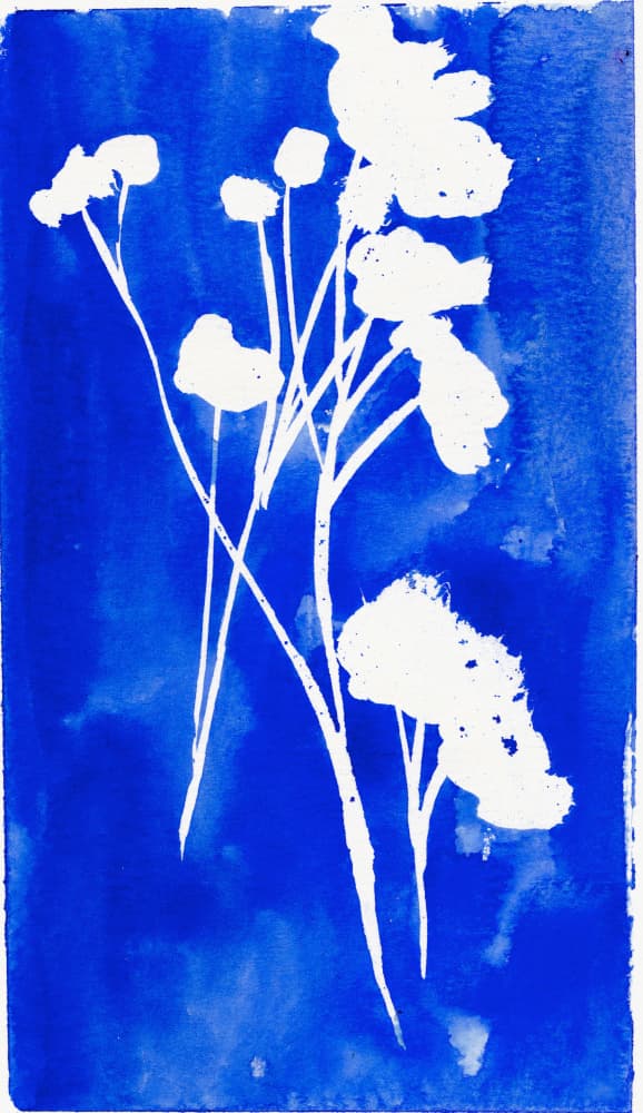 Delicate Indigo Flowers by Christine Lindstrom — canvas wall art