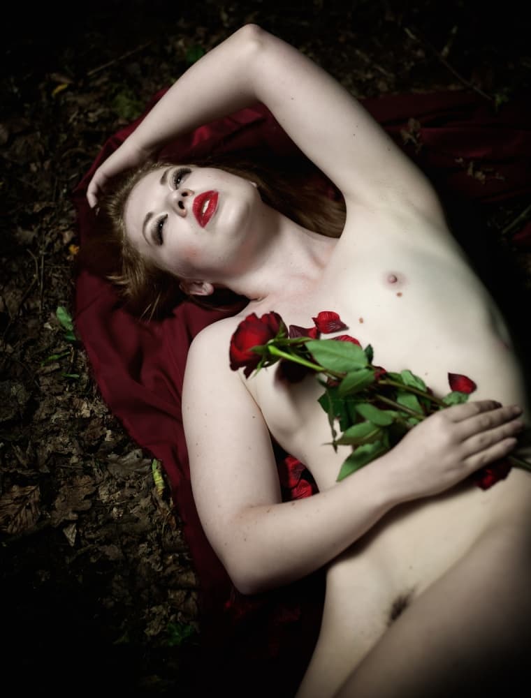 Red rose in the Woods by Colin Dixon — canvas wall art
