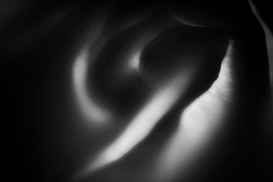 Sensual Monochrome Forms by Codrin Lupei — canvas wall art