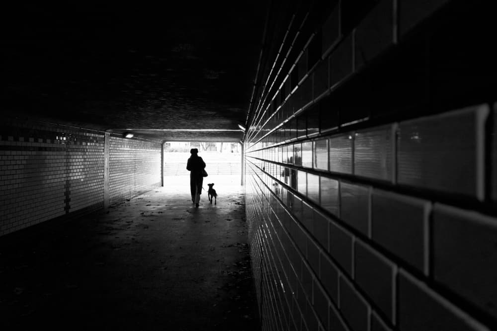 Tunnel Walk with Dog by Tamas Dragon — canvas wall art
