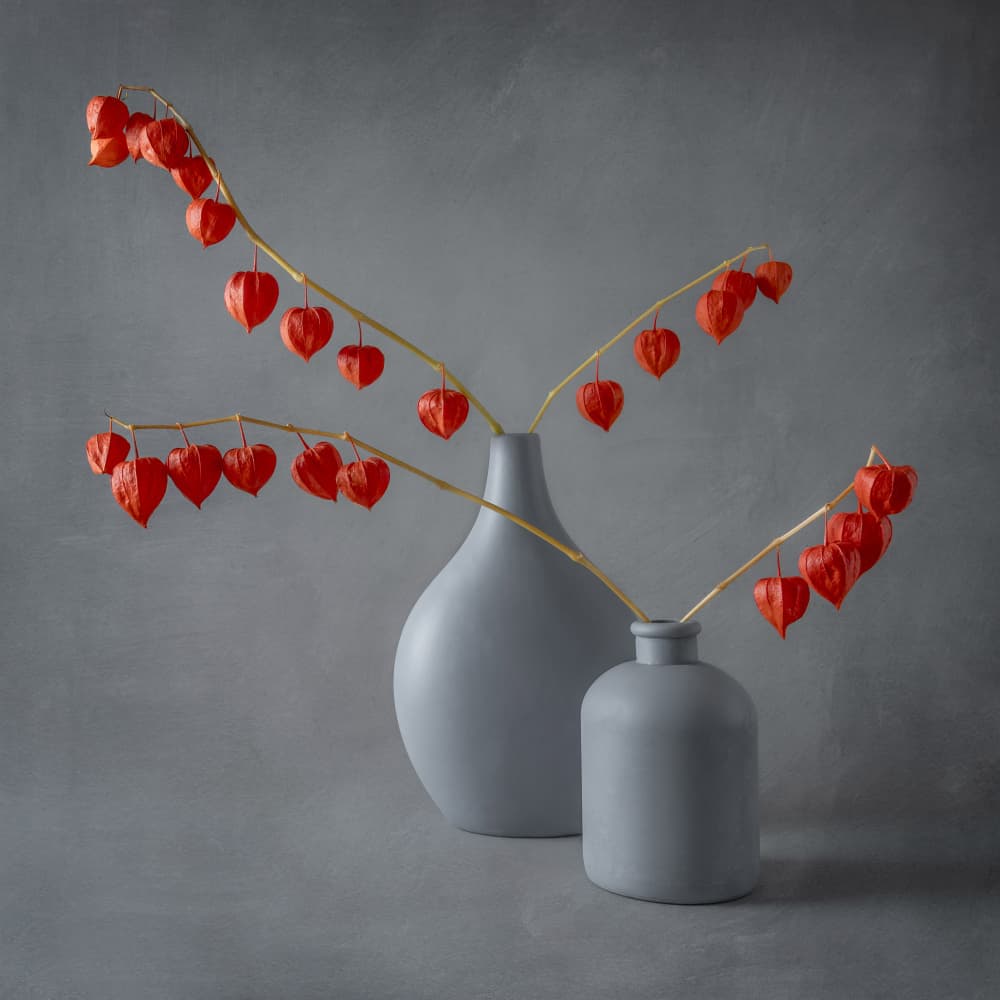 Chinese Lantern Grey Vases by Ytje Veenstra — canvas wall art