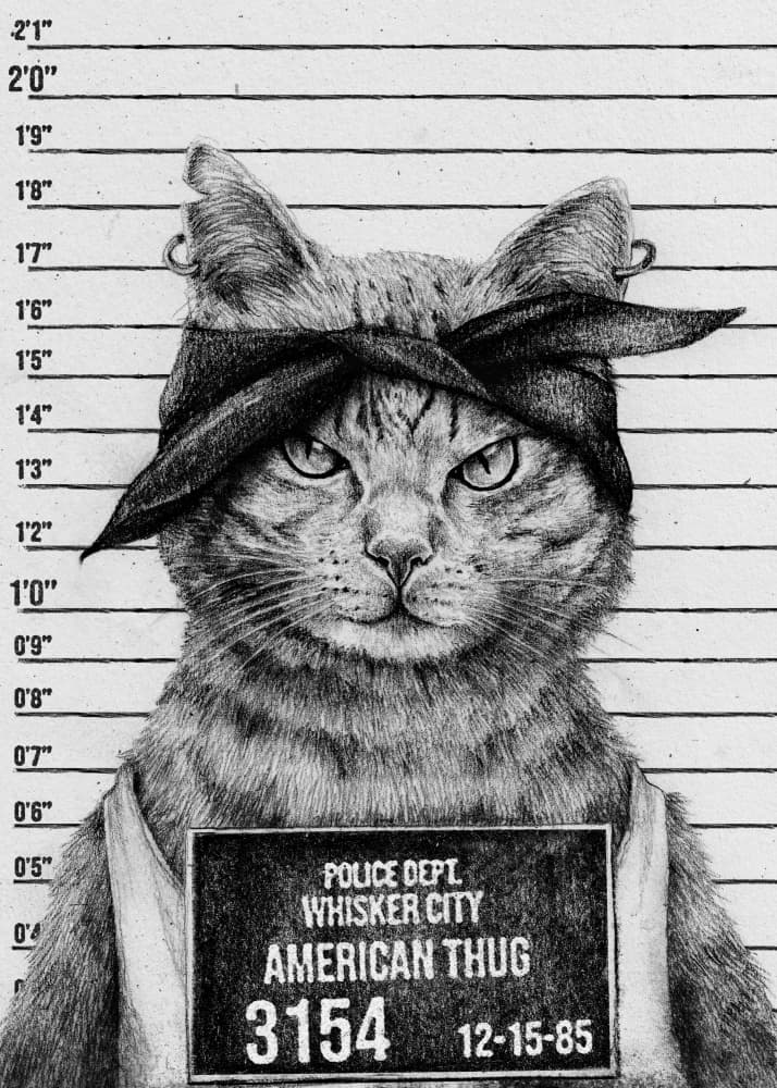 Cat In A Police Lineup by Mike Koubou — canvas wall art