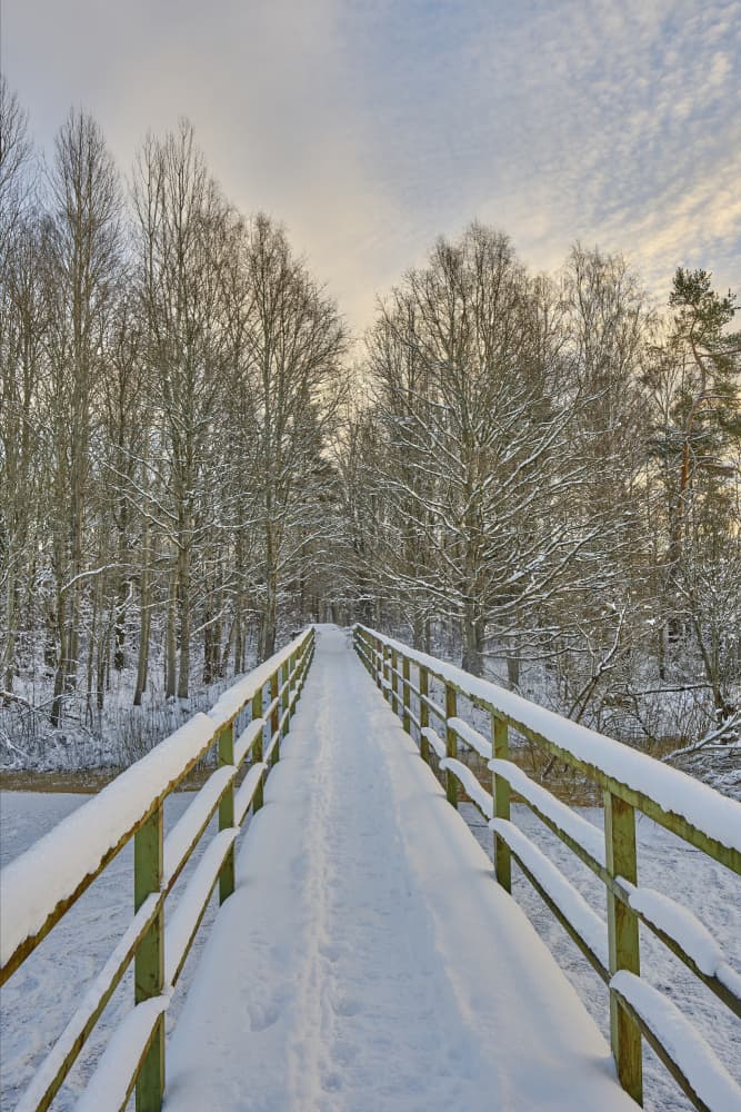 Snowy Winter Bridge by Geertjan Plooijer — canvas wall art