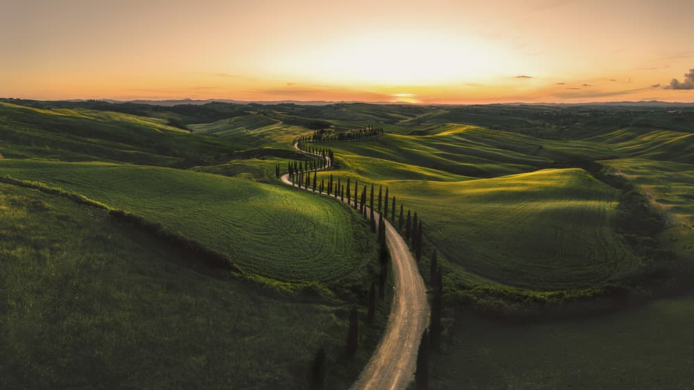 Tuscan Cypress Road Sunset by Mike Kreiten — canvas wall art