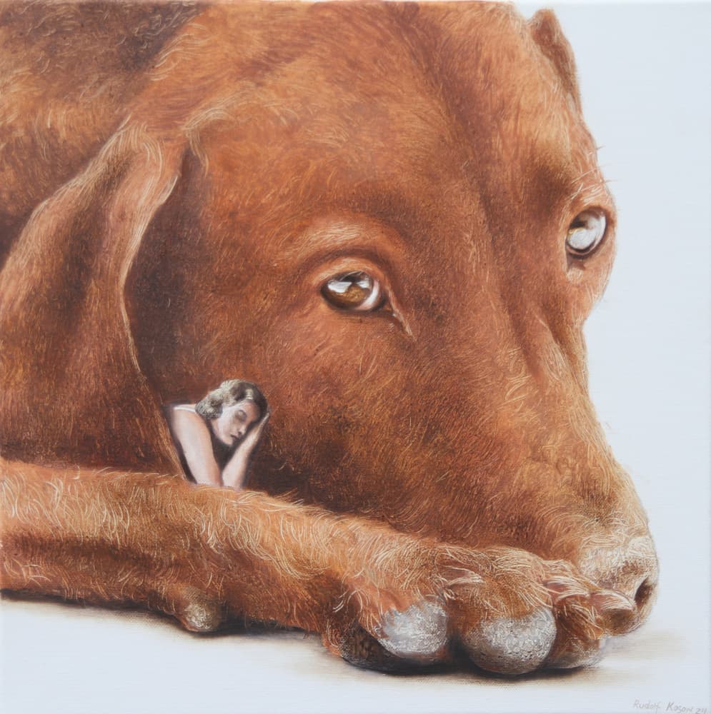 Peaceful Dog Dream by Rudolf Kosow — canvas wall art