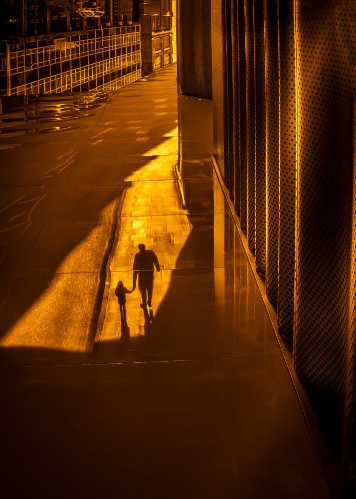 Golden Path Journey by Selaru Ovidiu — canvas wall art