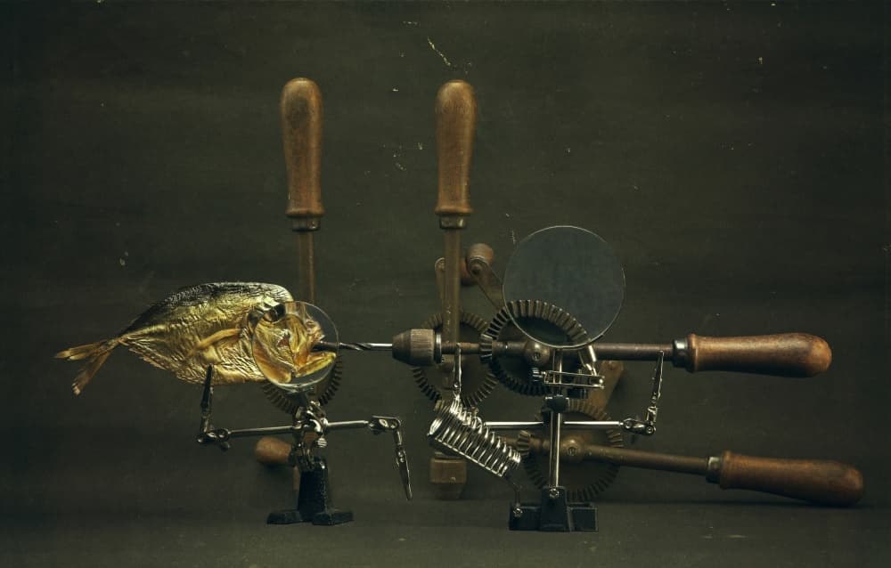 Curious Fish Apparatus by Brig Barkow — canvas wall art