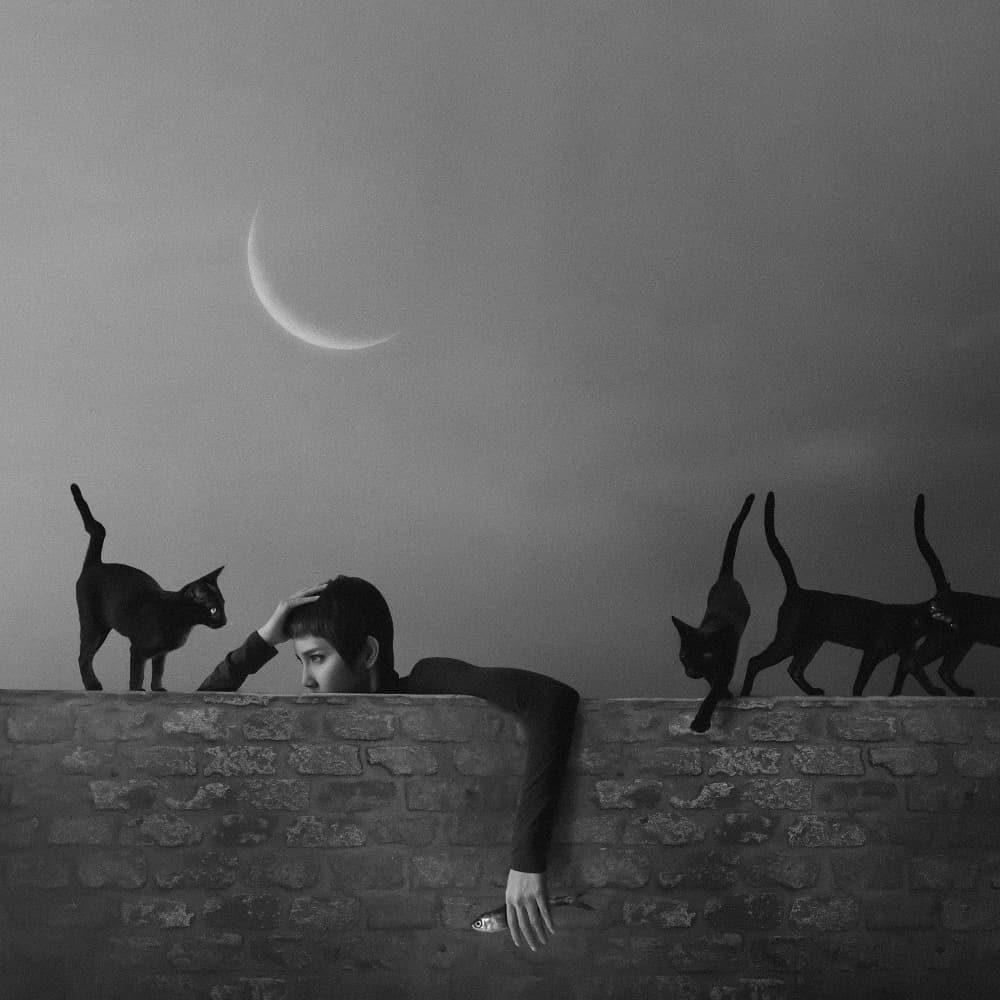 Surreal Girl And Cats by hardibudi — canvas wall art