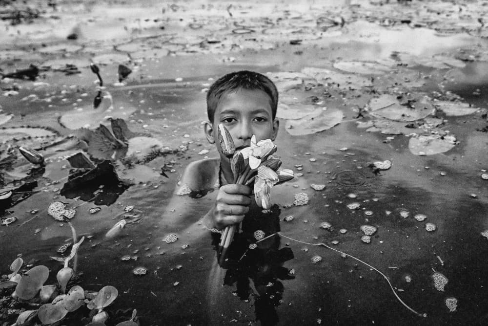Serene Boy Lotus Pond by Avishek Das — canvas wall art