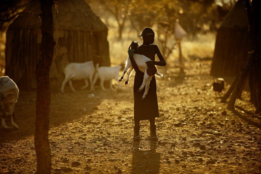 Village Child Carrying Goat by Gina Buliga — canvas wall art