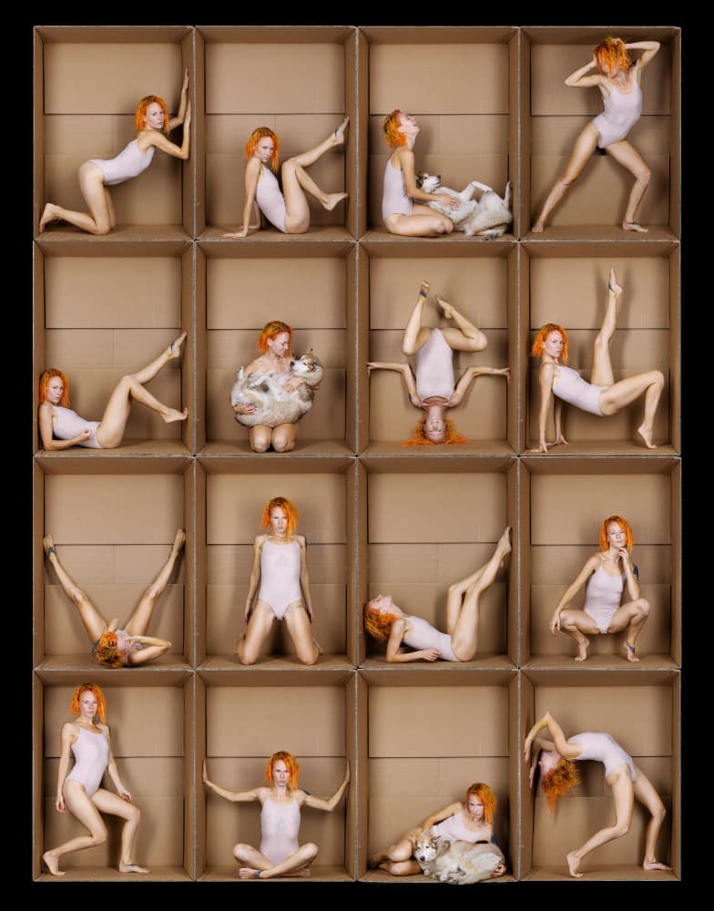 Ginger Poses in Boxes by Michael Allmaier — canvas wall art