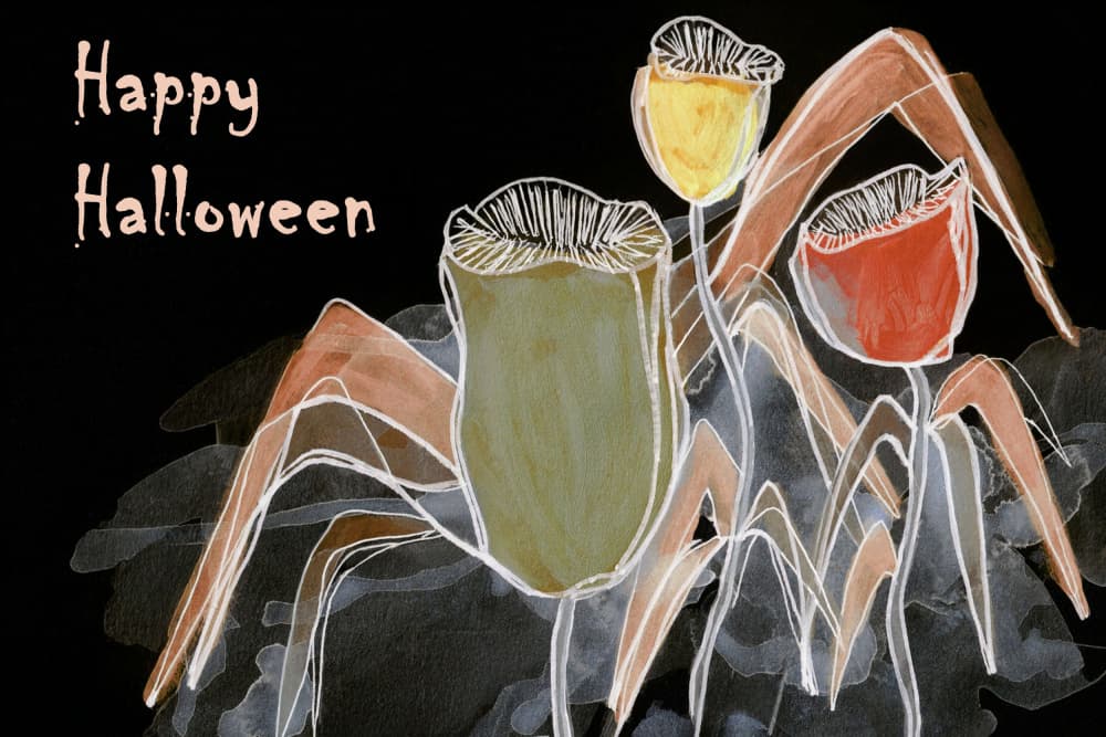 Happy Halloween Spider Plants by Lori Ann Folz — canvas wall art