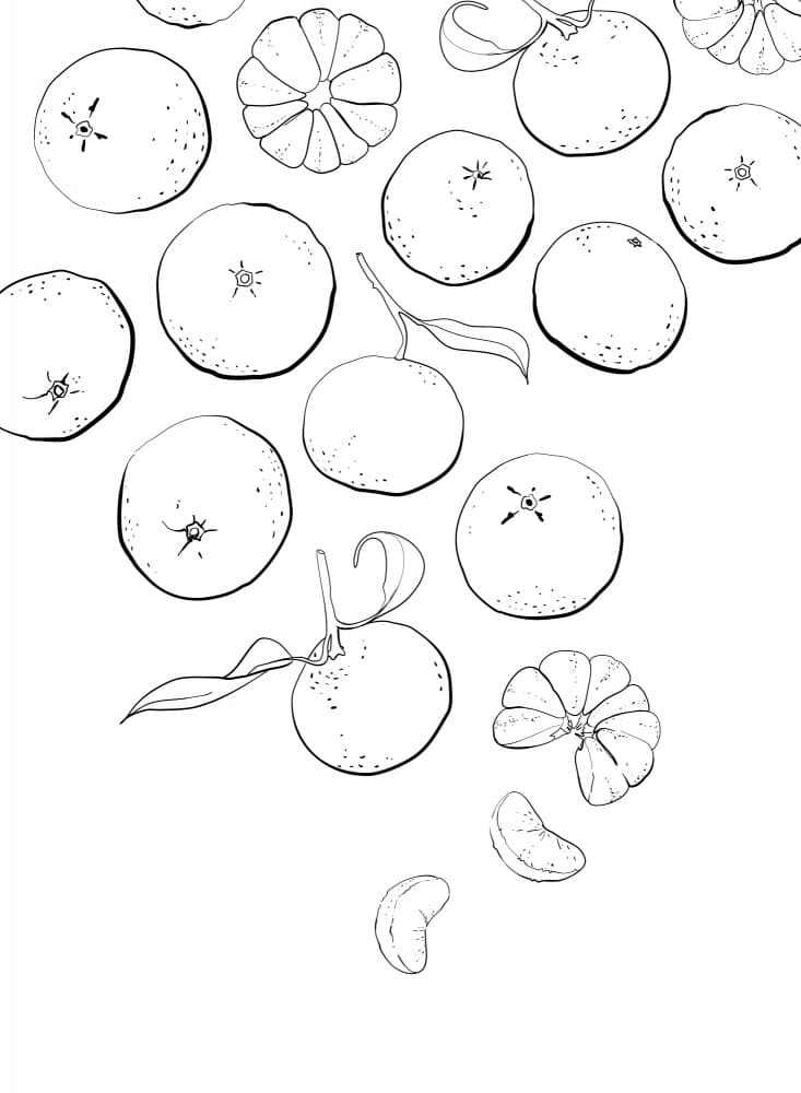 Fresh Citrus Mandarins by Rosana Laiz Blursbyai — canvas wall art