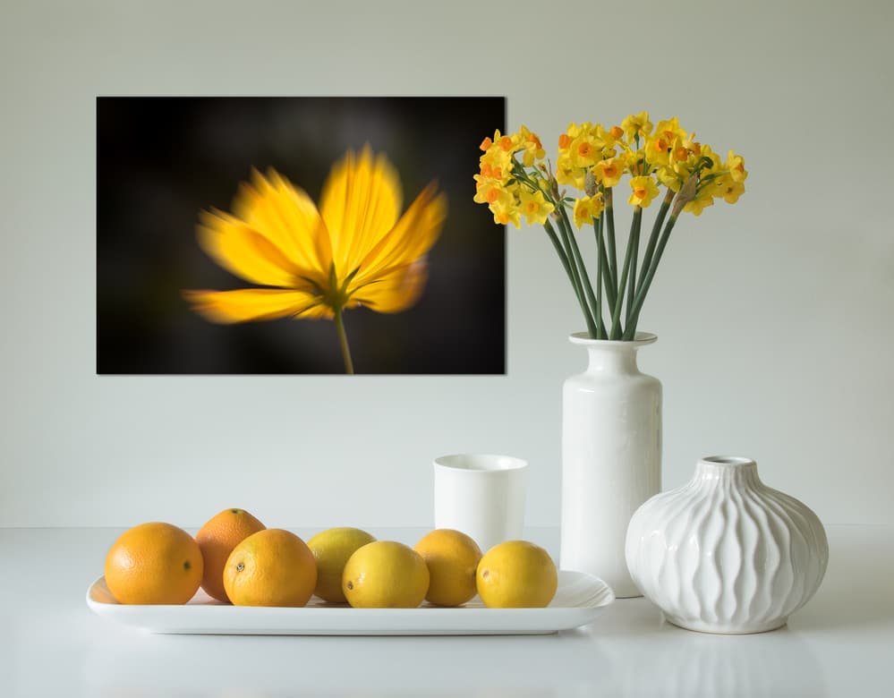 Vibrant Yellow Still Life by Jacqueline Hammer — canvas wall art