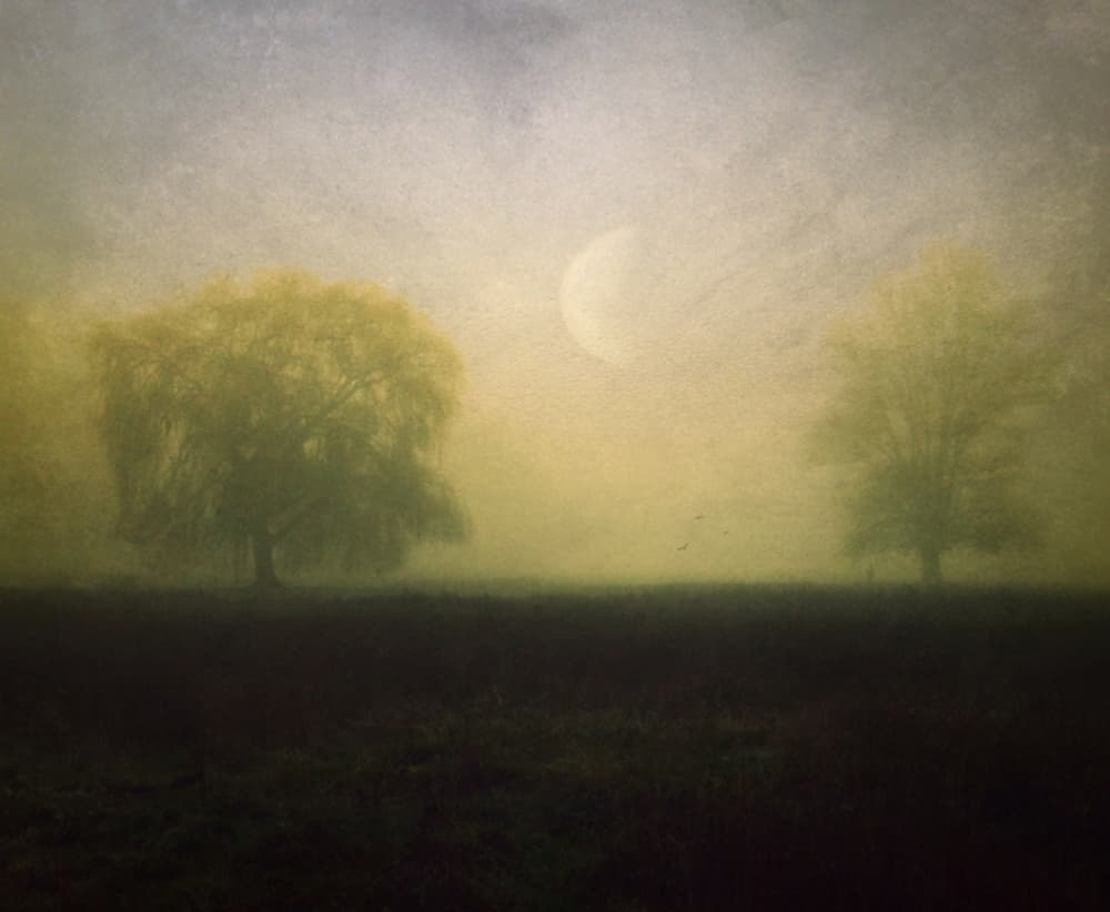 Misty Moonlit Landscape by Robert Fabrowski — canvas wall art