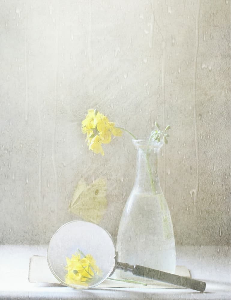 Dreamy Yellow Flowers by Delphine Devos — canvas wall art