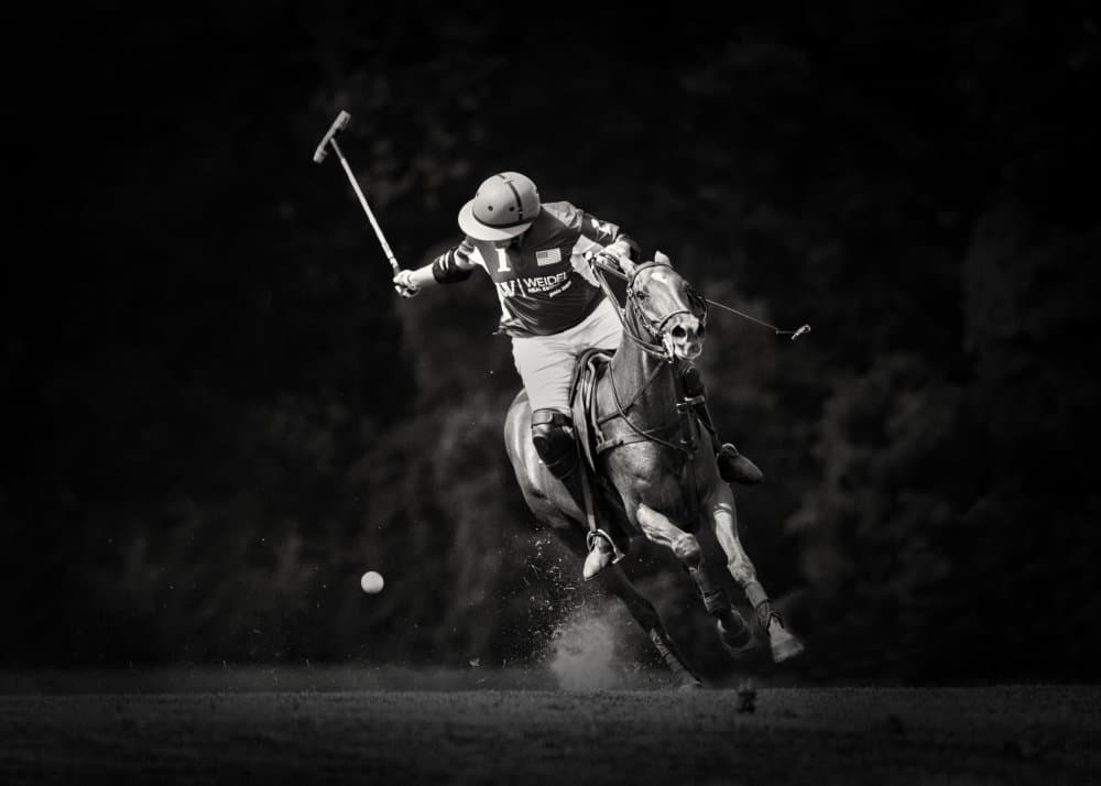 Polo Player Action by Rob Li — canvas wall art