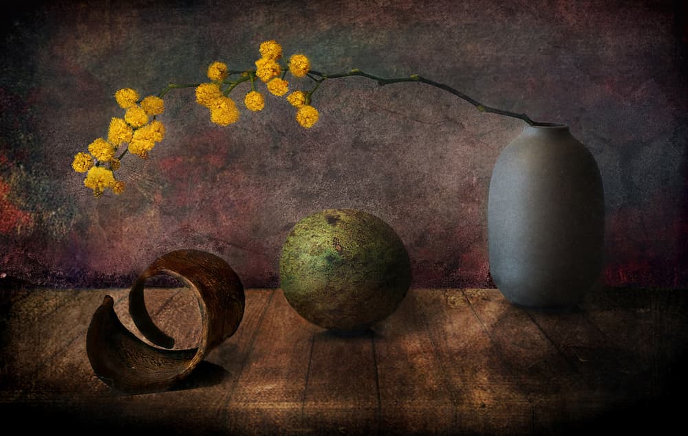 Moody Mimosa Still Life by Elena Arjona — canvas wall art