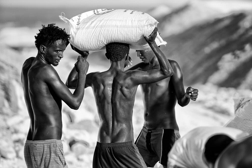 Strong Men Hard Work by Trevor Cole — canvas wall art