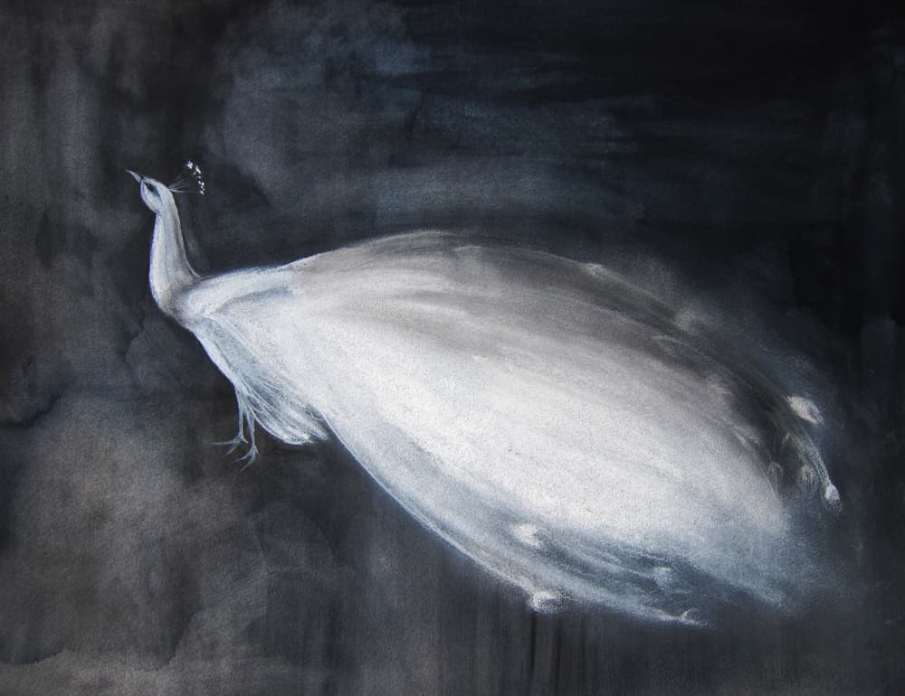 Ethereal White Peacock by Christine Lindstrom — canvas wall art